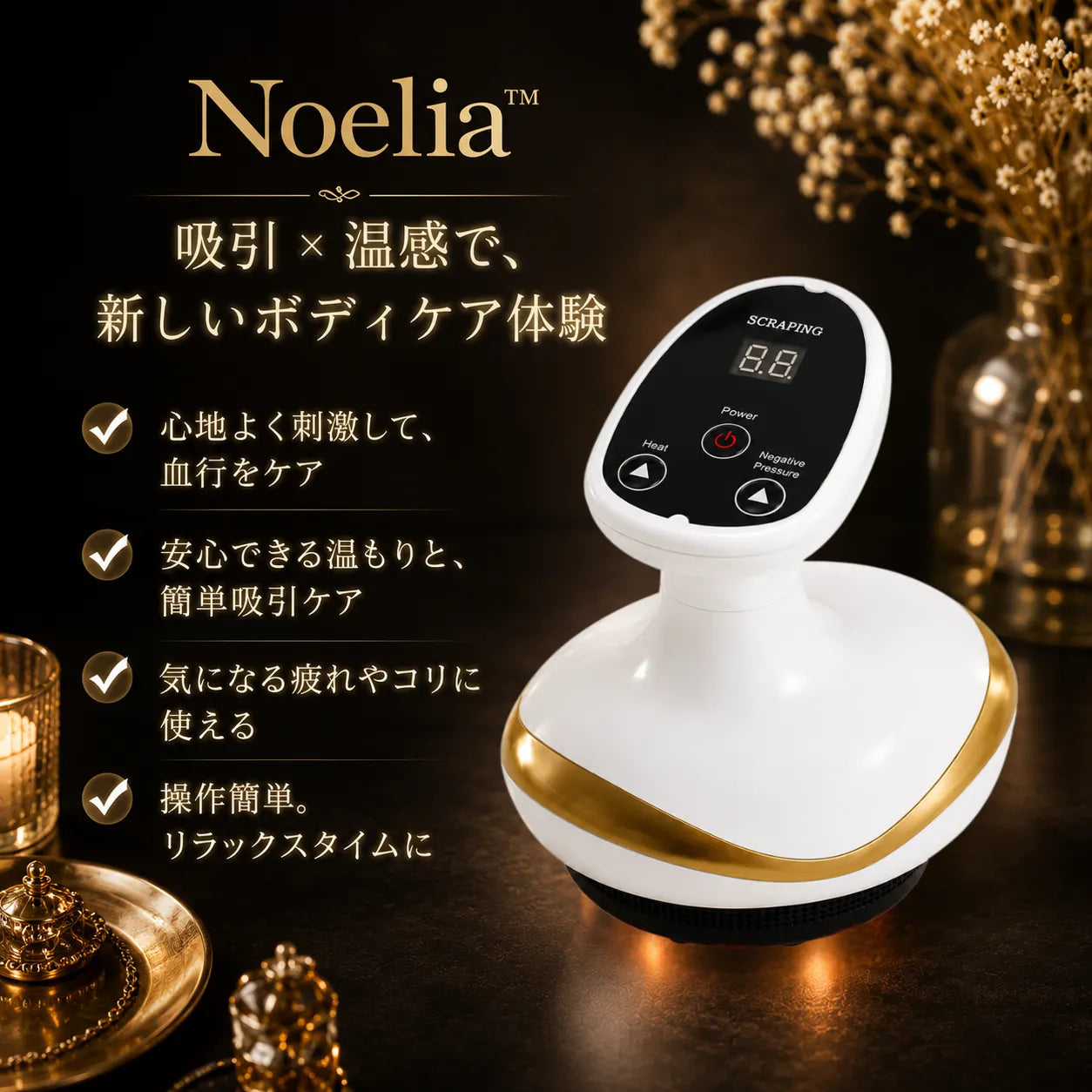 Noelia 吸引・温熱 美顔器 Kokoroa.Store