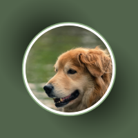 files/1_2dc5e896-83c0-42e8-a5a1-898fbb04ab69.png
