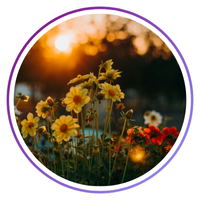 files/1_baad157e-e43a-4e22-a21a-8fbd4a346025.png