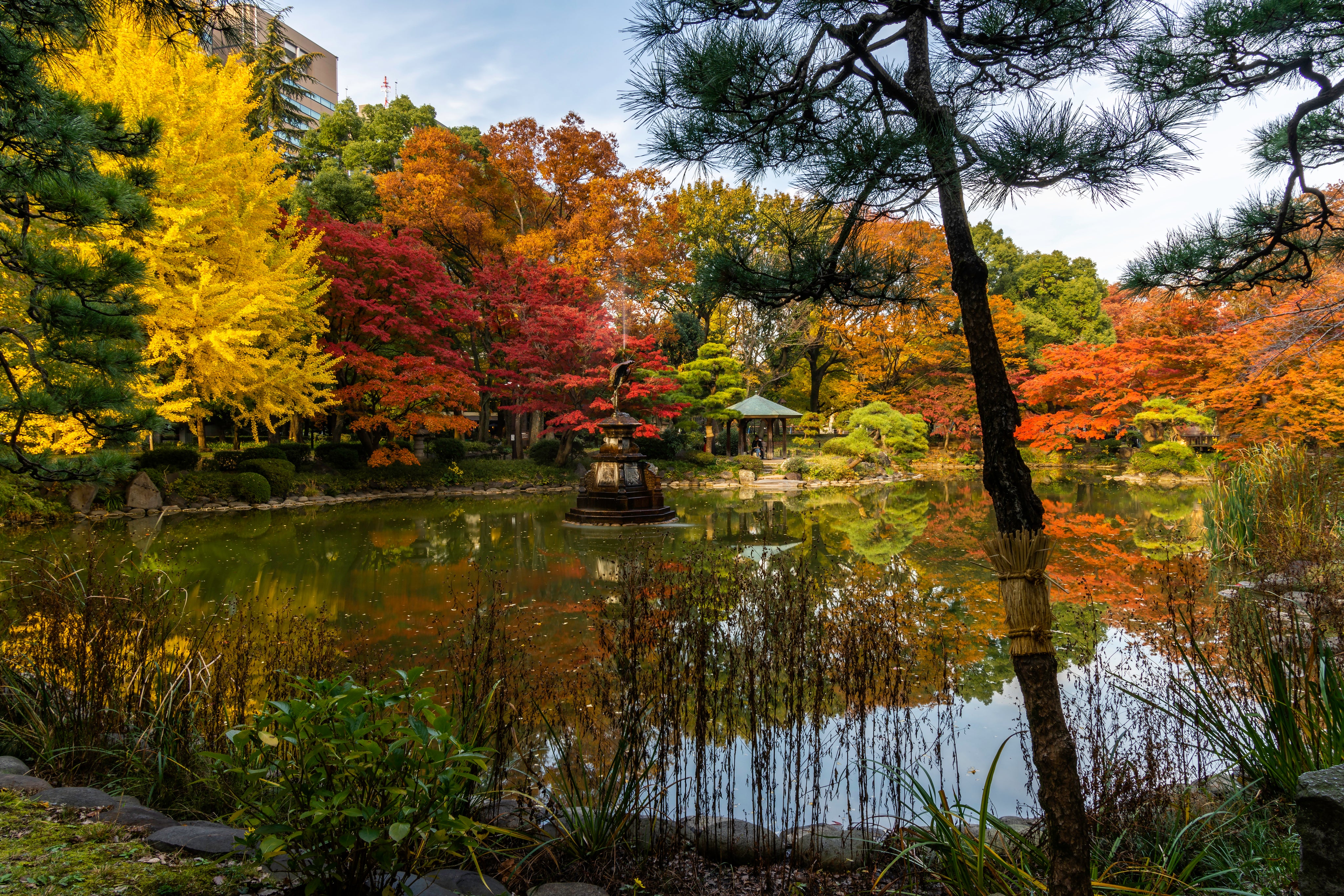 files/zen-garden-with-autumn-colors.jpg